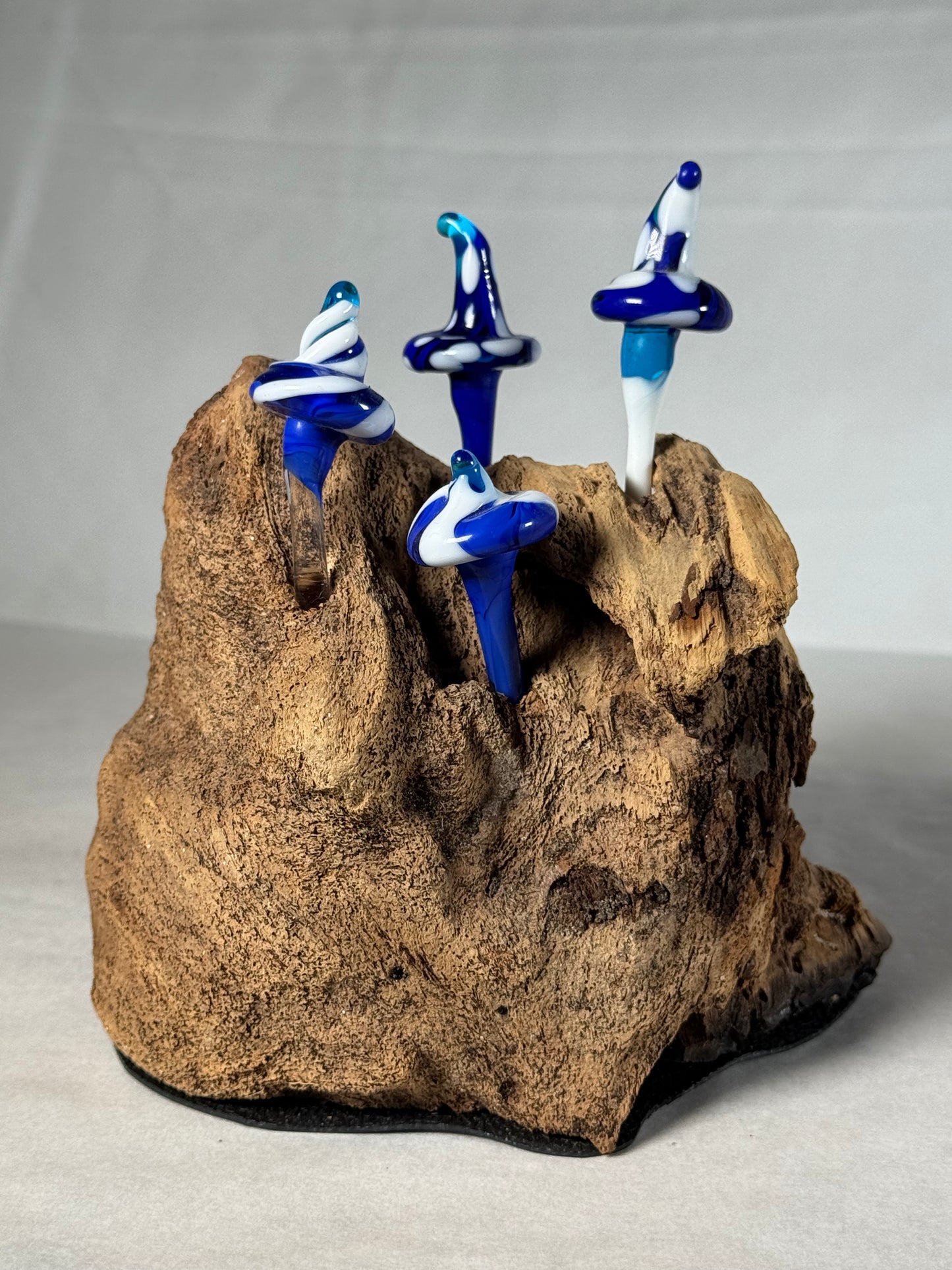 Blue Forest in Driftwood