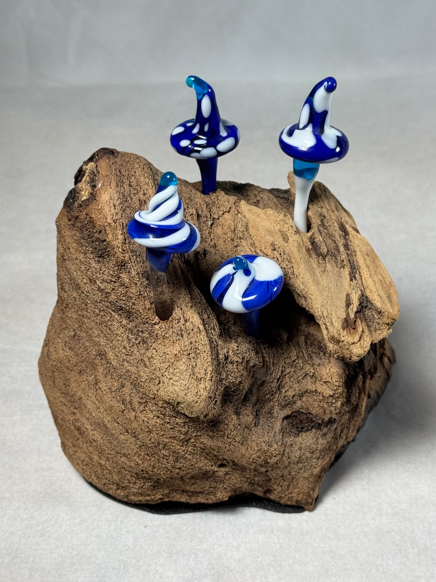 Blue Forest in Driftwood