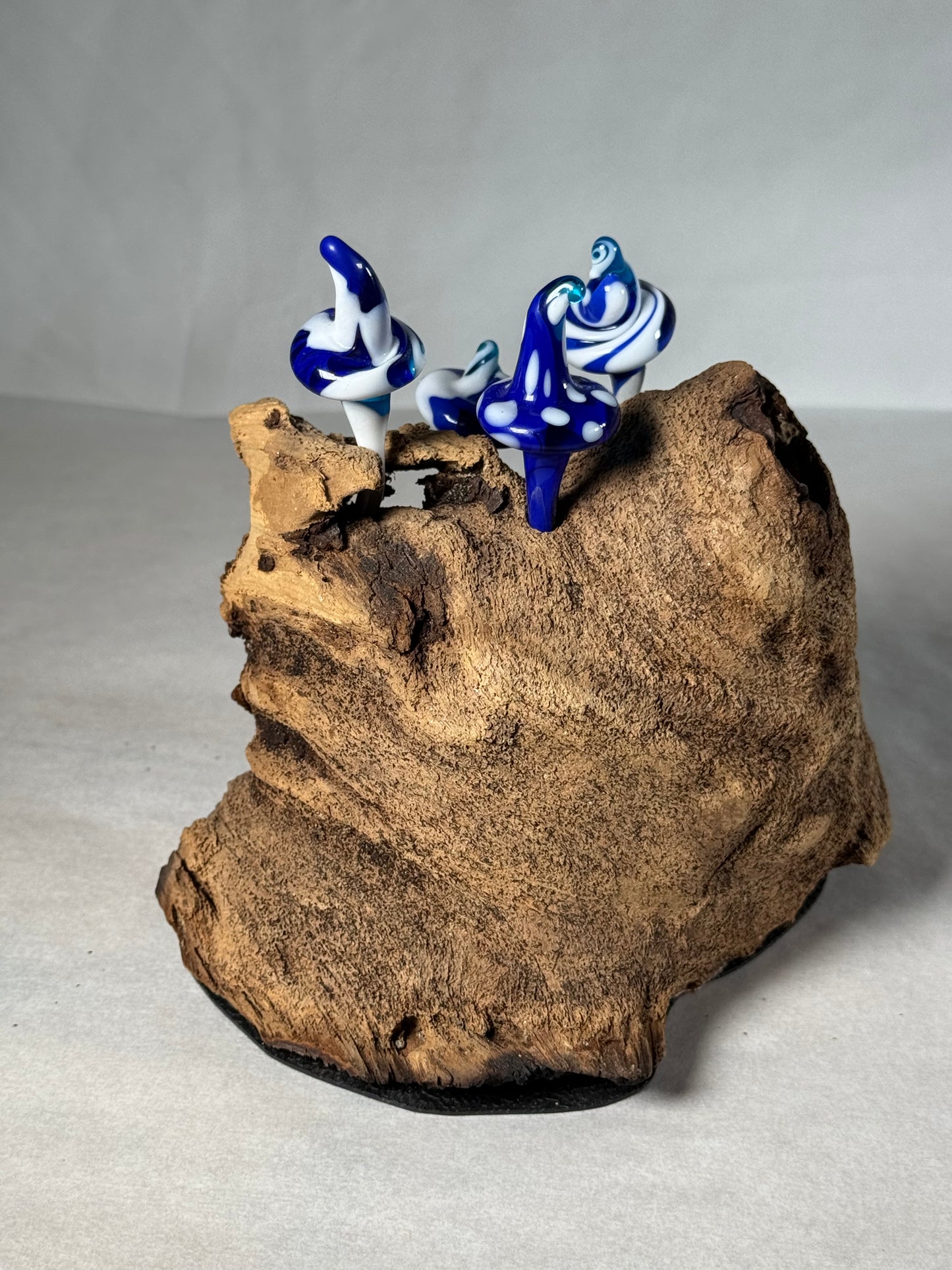 Blue Forest in Driftwood