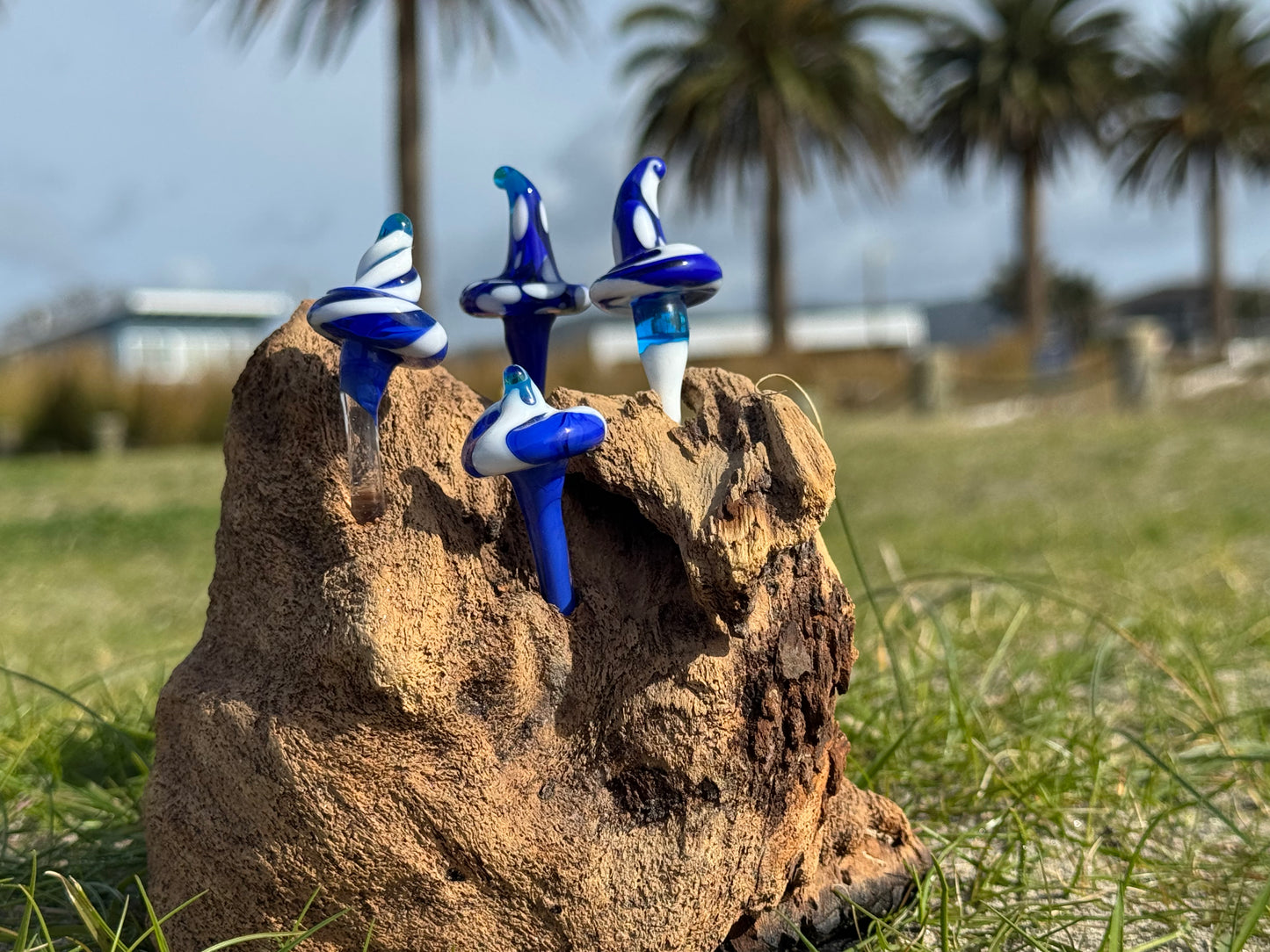 Blue Forest in Driftwood